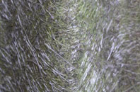 Lochgoilhead fibreglass roof work